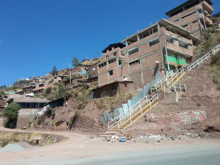 Stray dogs in Cusco, Peru, scavenging through city trash. 